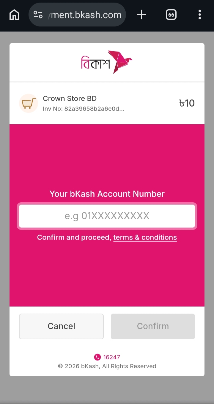 Premium Ecommerce with Digital Products Website